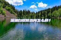 深圳白蟻防治所怎么樣？