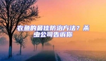 衣魚的最佳防治方法？殺蟲公司告訴你