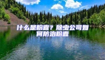什么是粉蠹?除蟲公司如何防治粉蠹